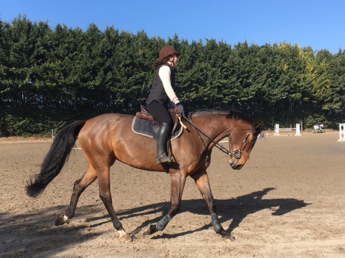 Photo de profil de sachapgl