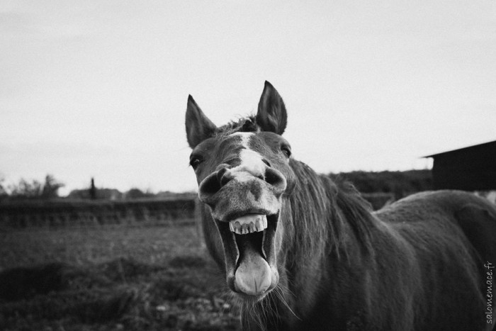 Photo de profil de salome.ensko