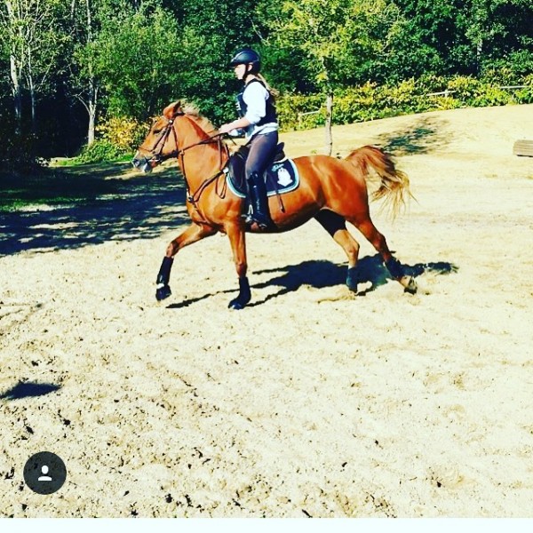 Photo de profil de salom.l