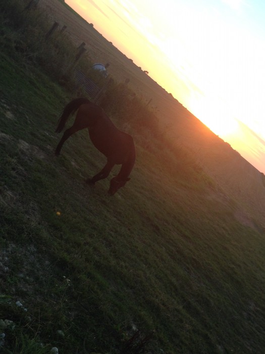 Photo de profil de samuel02