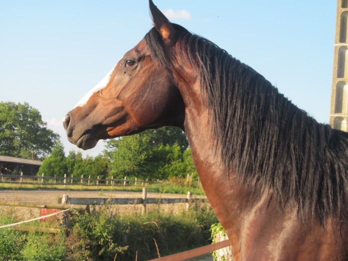 Photo de profil de sandra.rbt