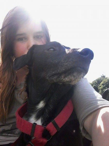 Photo de profil de sarachamallow