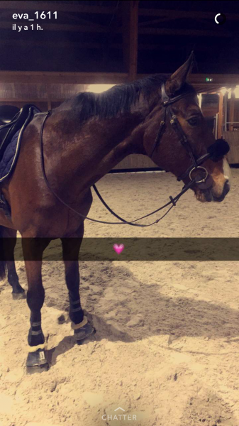 Photo de profil de sarah68