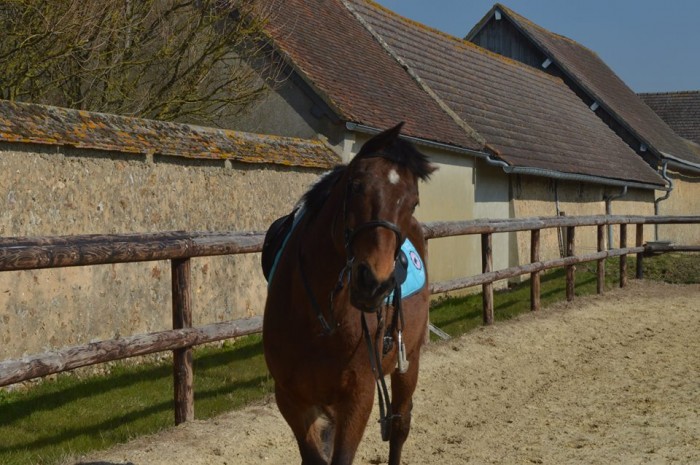 Photo de profil de sarahetvasco