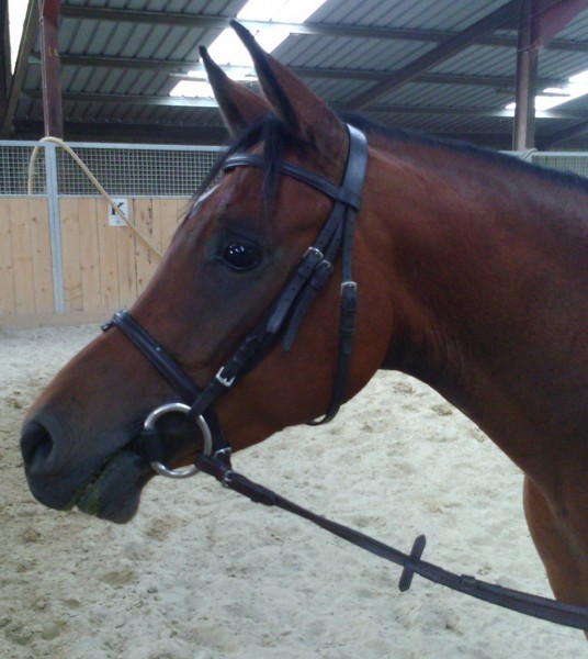 Photo de profil de satshem
