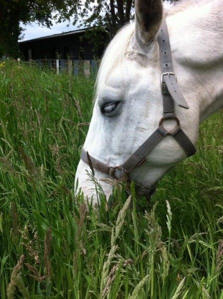 Photo de profil de sbatrel