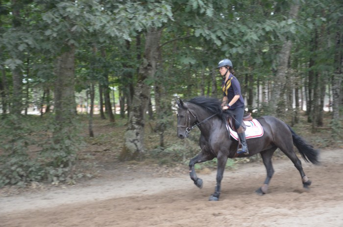 Photo de profil de scintille