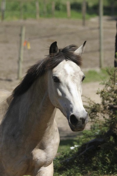 Photo de profil de scrafie