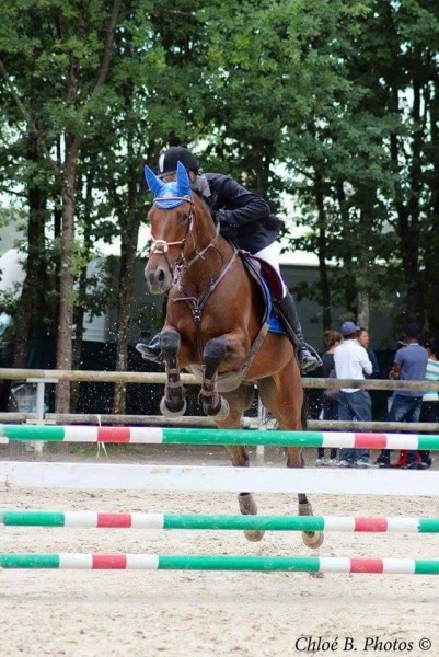 Photo de profil de seb74