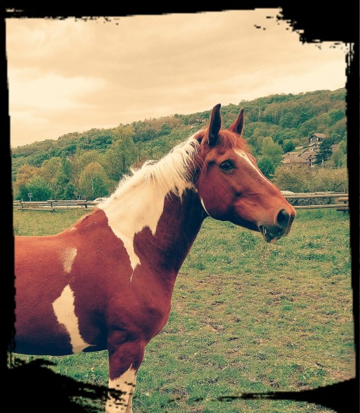 Photo de profil de senseo