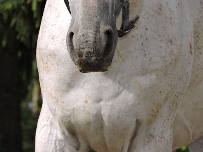 Photo de profil de sha.shouw