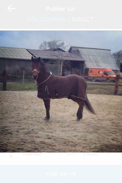 Photo de profil de sheshe