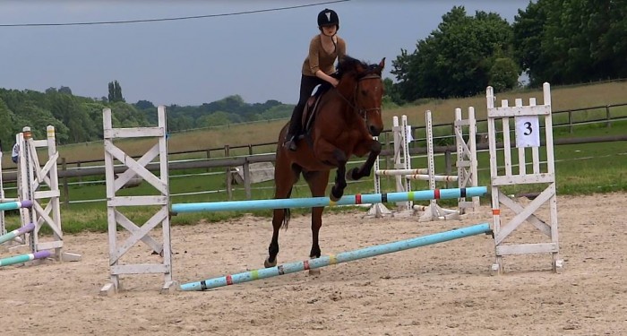 Photo de profil de shimiko