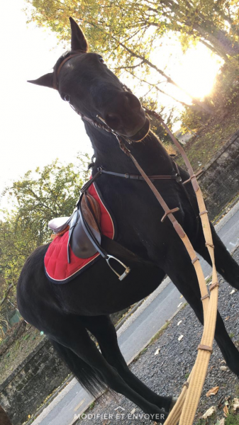 Photo de profil de shunka57