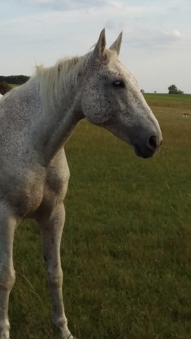 Photo de profil de siegfried_m