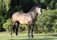 Photo de profil de sleemie