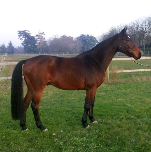 Photo de profil de sn787350