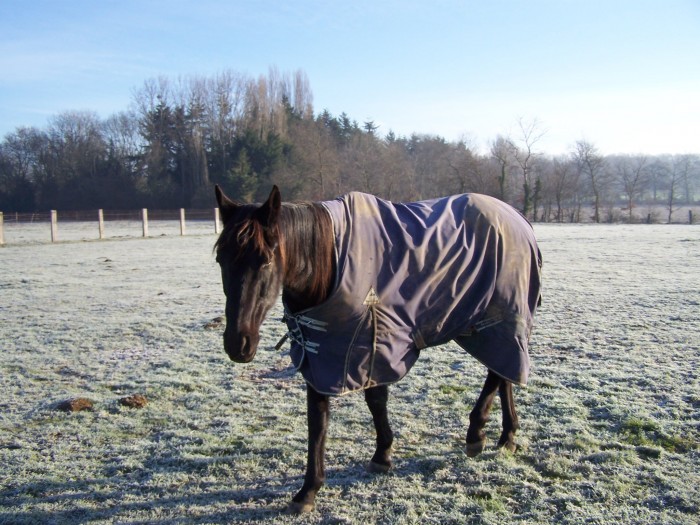 Photo de profil de solal14