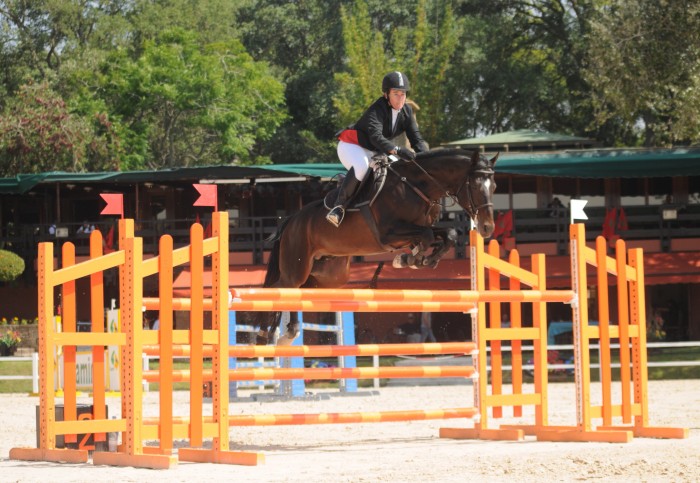 Photo de profil de solarhorse