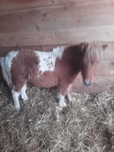 Photo de profil de soleildumont