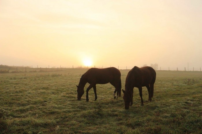 Photo de profil de sowsow77