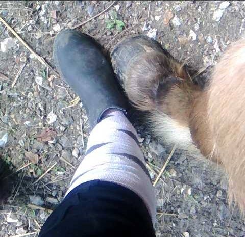 Photo de profil de stelina.frn