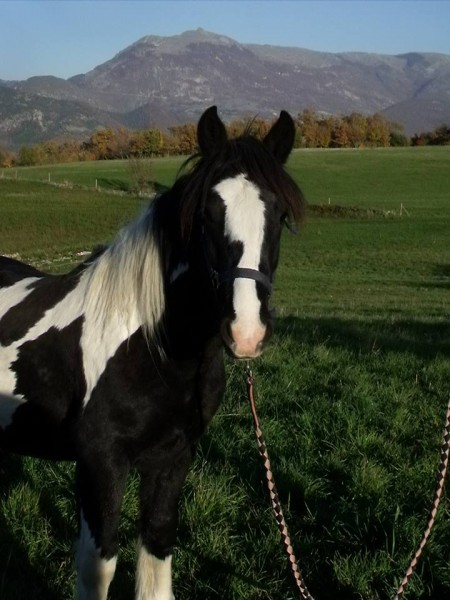 Photo de profil de steph0206