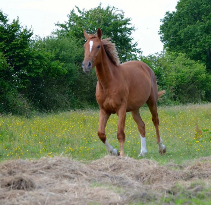 Photo de profil de stephane01