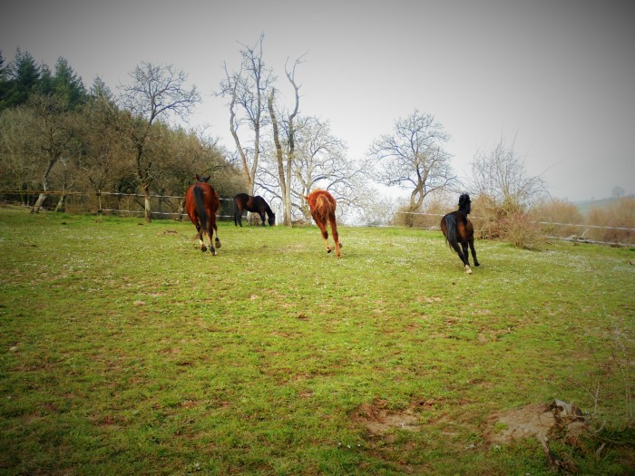 Photo de profil de tahiti54