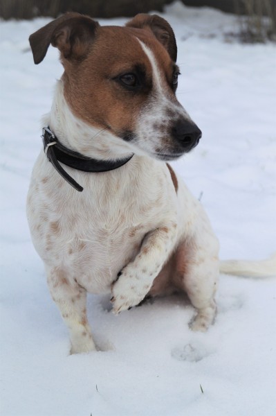 Photo de profil de tanice