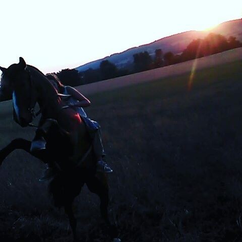 Photo de profil de tcdem