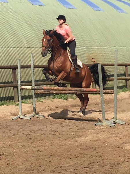 Photo de profil de tdebentz