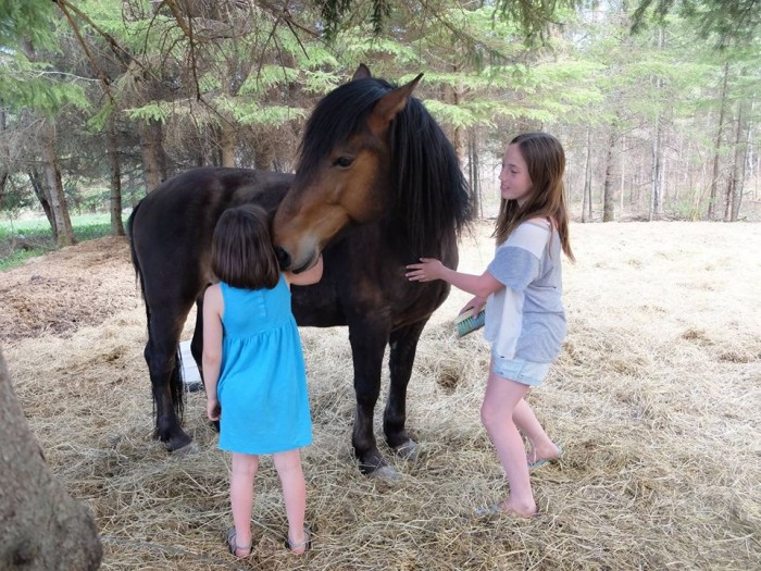 Photo de profil de teo_cheval