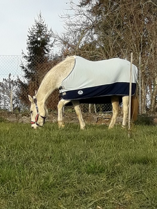 Photo de profil de teph87220