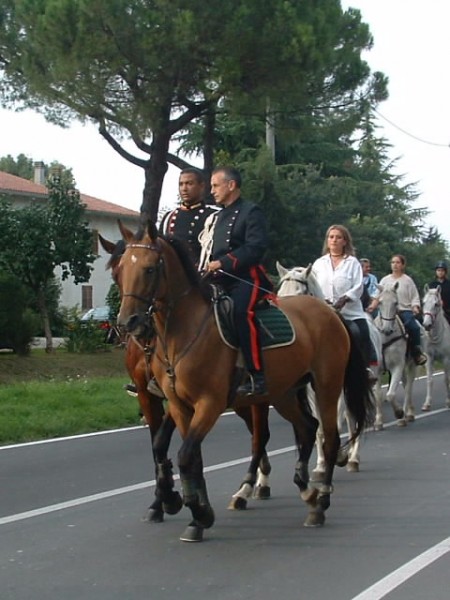 Photo de profil de terraranch1