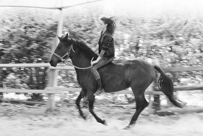 Photo de profil de tetedemule