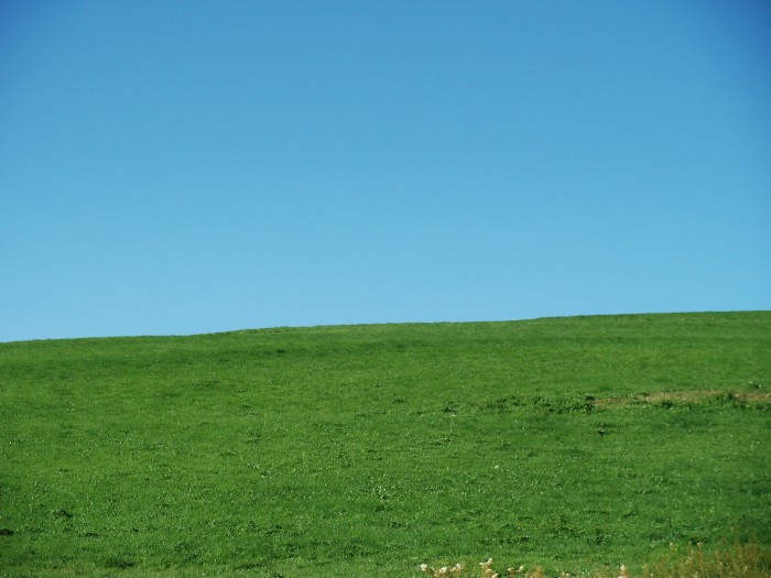 Photo de profil de thauv