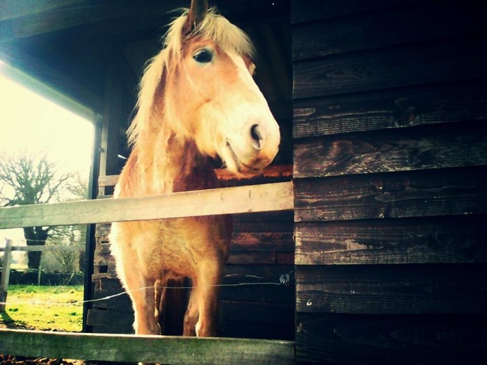 Photo de profil de theffophil