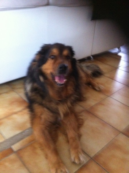 Photo de profil de tigrette65