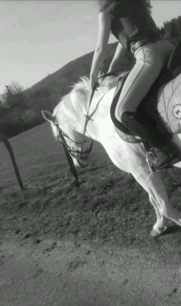 Photo de profil de tiphaine.mvs