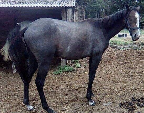 Photo de profil de titi22exotic