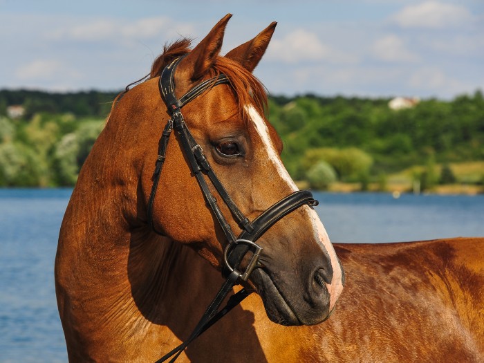 Photo de profil de titou974