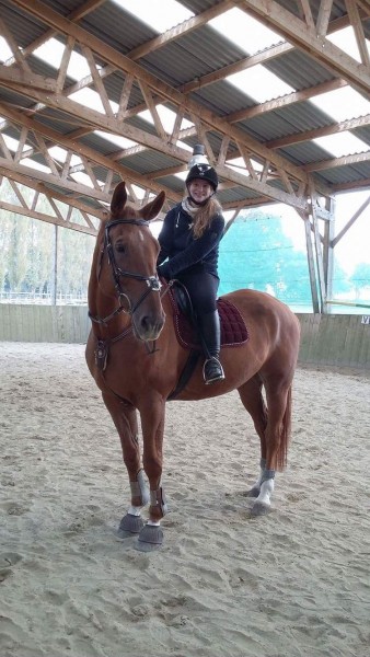 Photo de profil de toeic