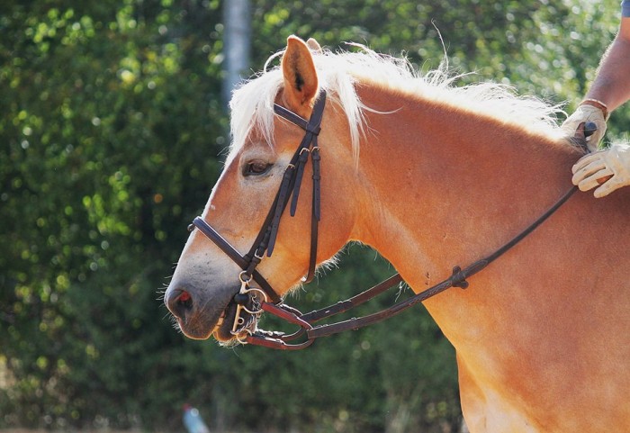 Photo de profil de toff41