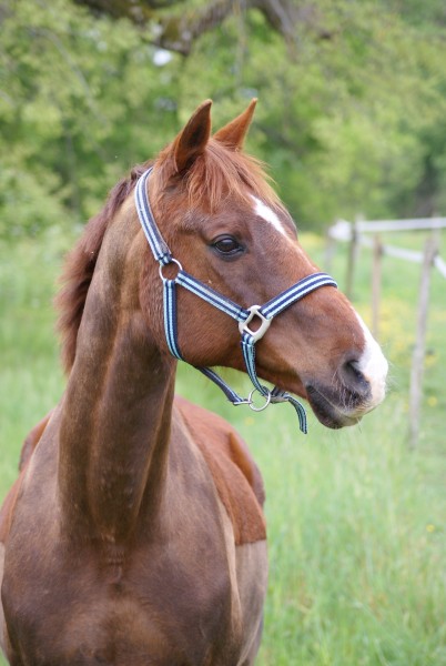 Photo de profil de topverdi
