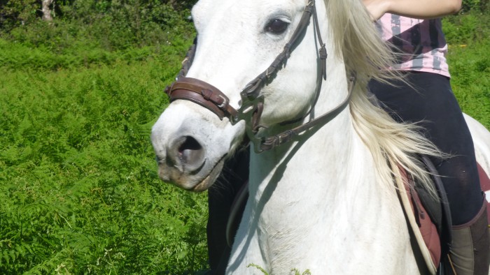 Photo de profil de tornade2b