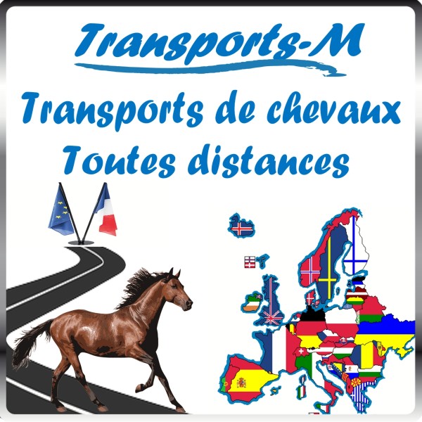 Photo de profil de transports.m