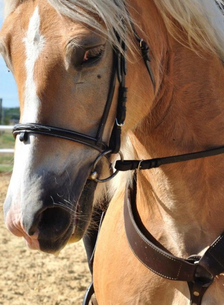 Photo de profil de ttel75007