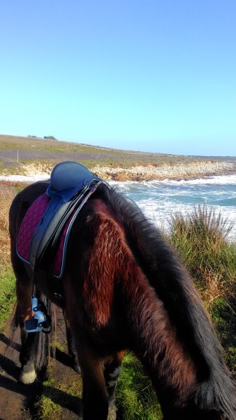 Photo de profil de twinky