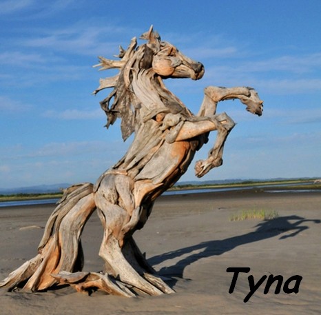 Photo de profil de tyna